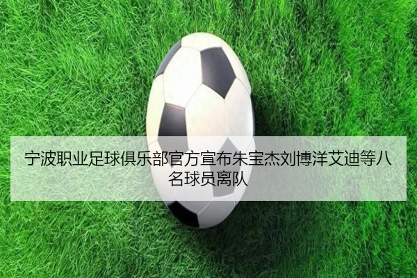 宁波职业足球俱乐部官方宣布朱宝杰刘博洋艾迪等八名球员离队